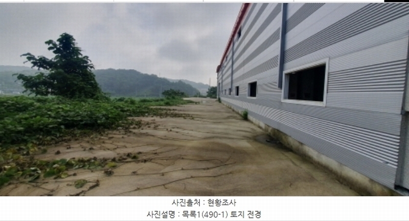 2023타경6894 경기도 화성시 마도면 백곡리 490-1 임야 경매 이미지
