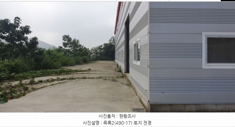 2023타경6894 경기도 화성시 마도면 백곡리 490-1 임야 경매 이미지