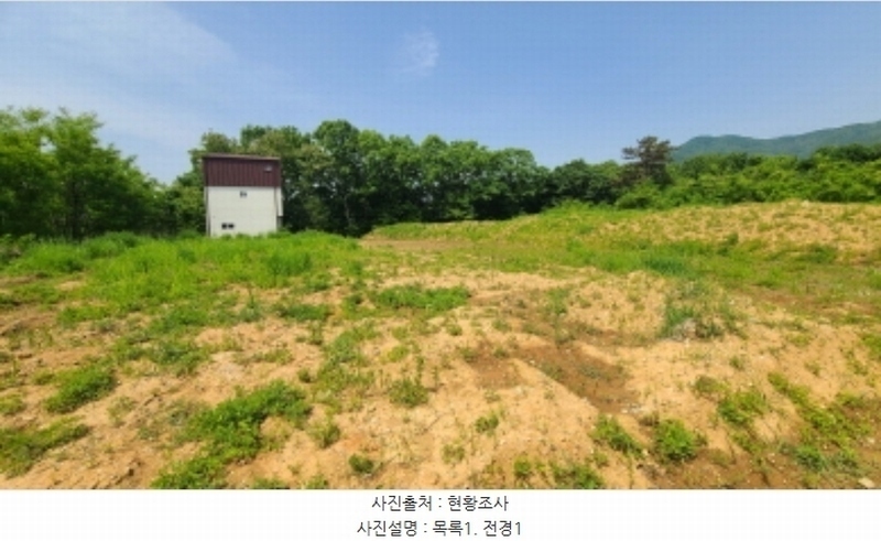 2024타경66459 경기도 용인시 처인구 원삼면 좌항리 322-52 임야 경매 이미지
