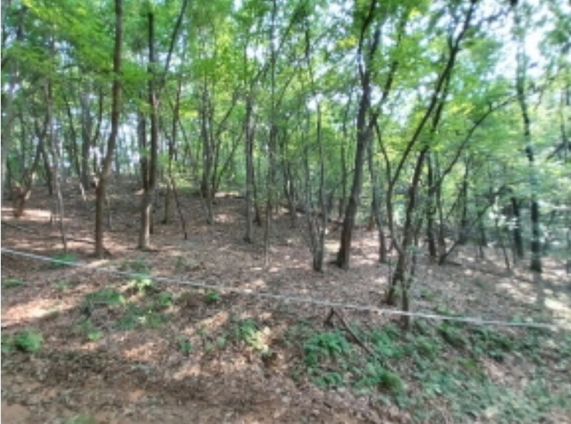 2024타경79226 경기도 용인시 기흥구 하갈동 323-59 임야 경매 이미지