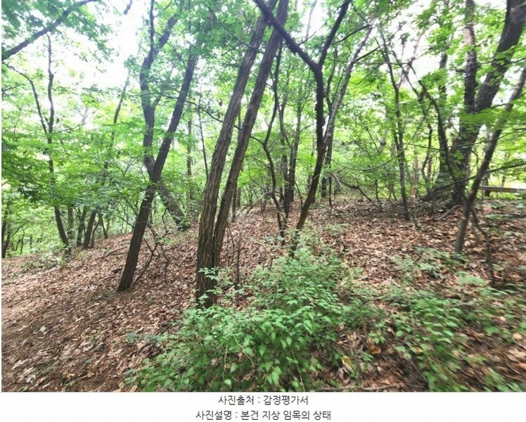 2024타경79226 경기도 용인시 기흥구 하갈동 323-59 임야 경매 이미지