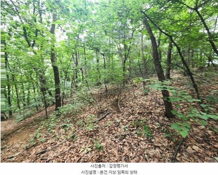 2024타경79226 경기도 용인시 기흥구 하갈동 323-59 임야 경매 이미지