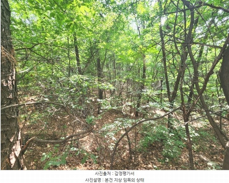 2024타경79226 경기도 용인시 기흥구 하갈동 323-59 임야 경매 이미지