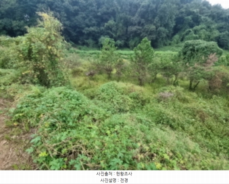 2024타경87456 경기도 화성시 송산면 독지리 891-1 농지 경매 이미지