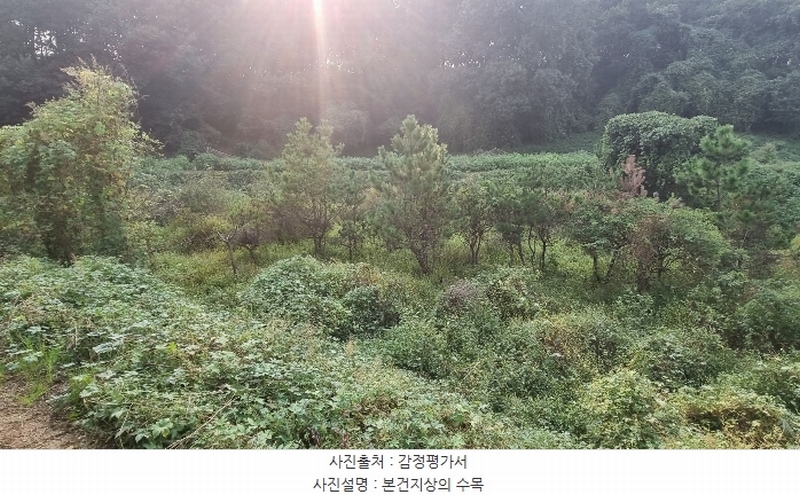 2024타경87456 경기도 화성시 송산면 독지리 891-1 농지 경매 이미지