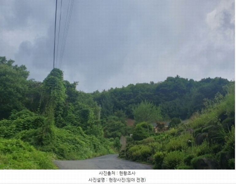 2024타경3697 경기도 광주시 곤지암읍 장심리 산73 임야 경매 이미지