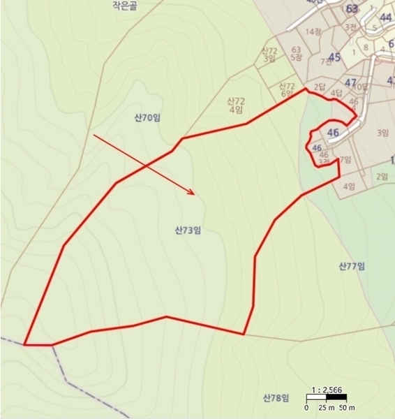 2024타경3697 경기도 광주시 곤지암읍 장심리 산73 임야 경매 이미지