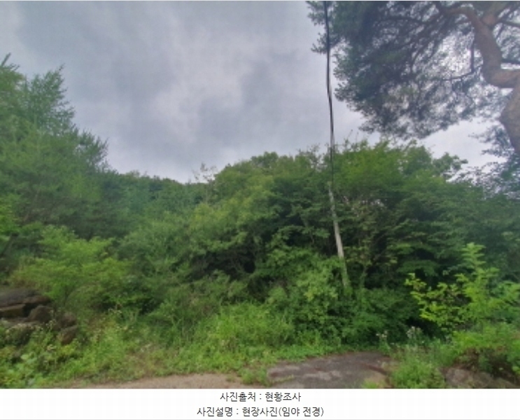 2024타경3697 경기도 광주시 곤지암읍 장심리 산73 임야 경매 이미지