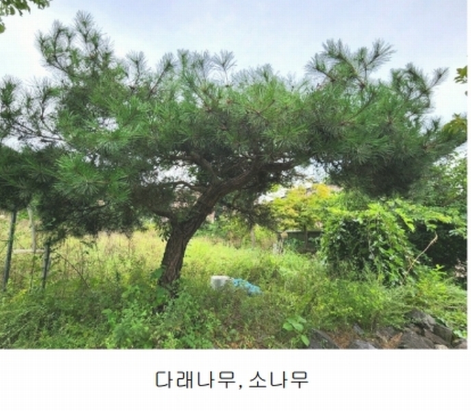 2024타경56622 경기도 광주시 회덕동 156-3 과수원 경매 이미지
