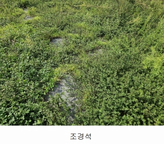 2024타경56622 경기도 광주시 회덕동 156-3 과수원 경매 이미지