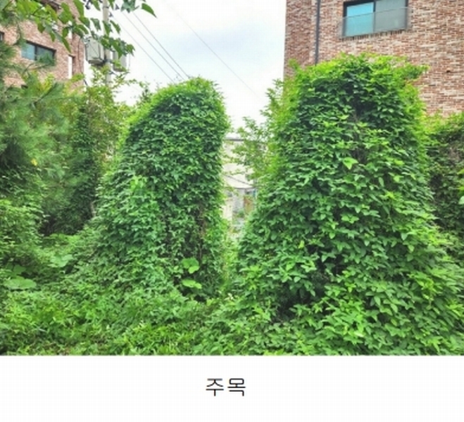 2024타경56622 경기도 광주시 회덕동 156-3 과수원 경매 이미지