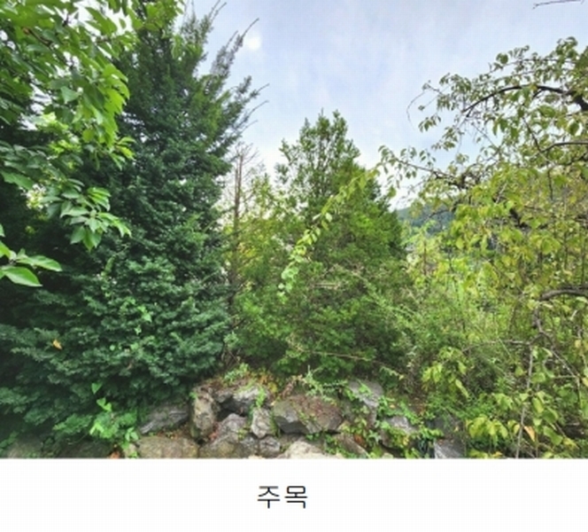 2024타경56622 경기도 광주시 회덕동 156-3 과수원 경매 이미지