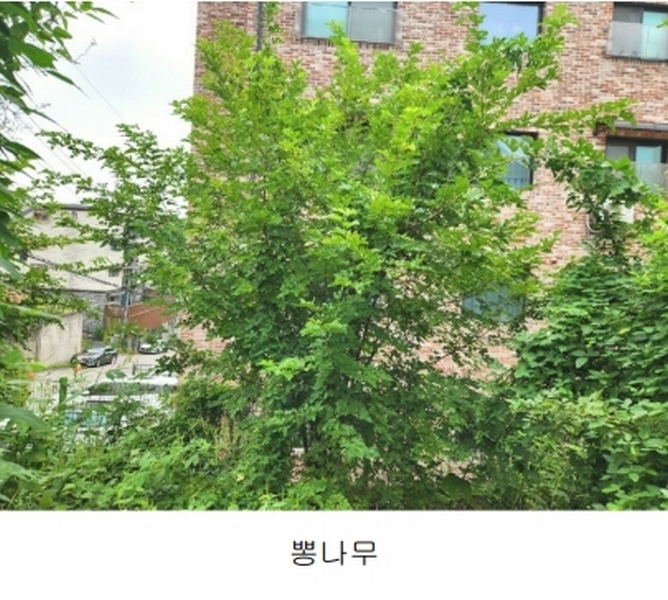 2024타경56622 경기도 광주시 회덕동 156-3 과수원 경매 이미지