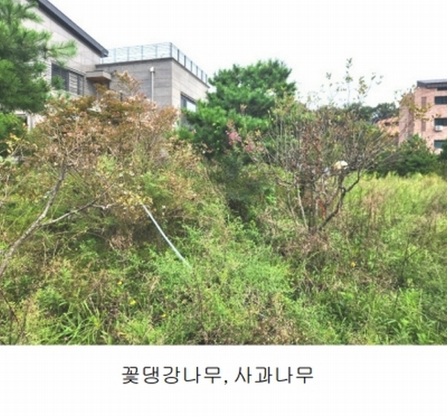 2024타경56622 경기도 광주시 회덕동 156-3 과수원 경매 이미지