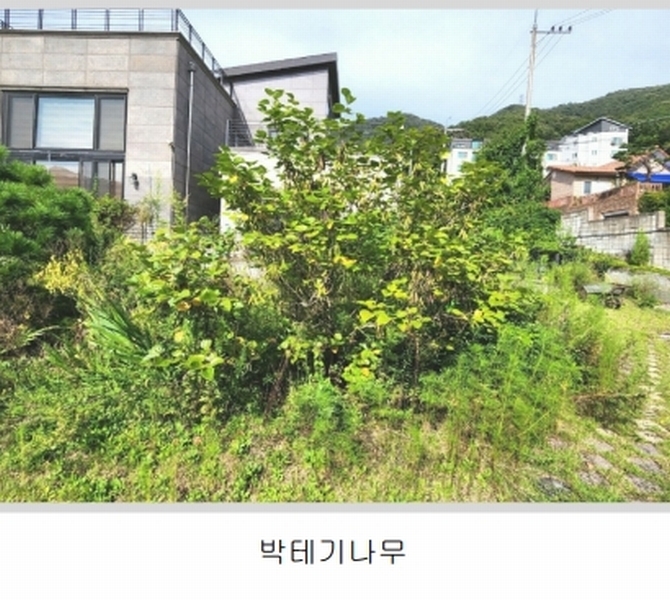 2024타경56622 경기도 광주시 회덕동 156-3 과수원 경매 이미지