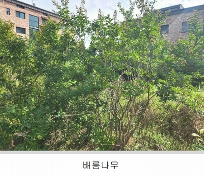 2024타경56622 경기도 광주시 회덕동 156-3 과수원 경매 이미지