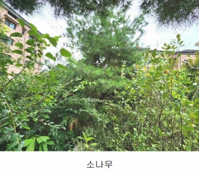 2024타경56622 경기도 광주시 회덕동 156-3 과수원 경매 이미지