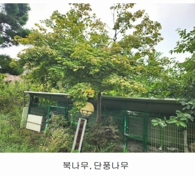 2024타경56622 경기도 광주시 회덕동 156-3 과수원 경매 이미지