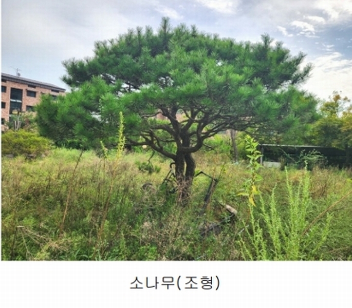2024타경56622 경기도 광주시 회덕동 156-3 과수원 경매 이미지