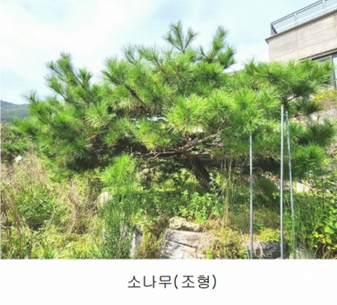 2024타경56622 경기도 광주시 회덕동 156-3 과수원 경매 이미지