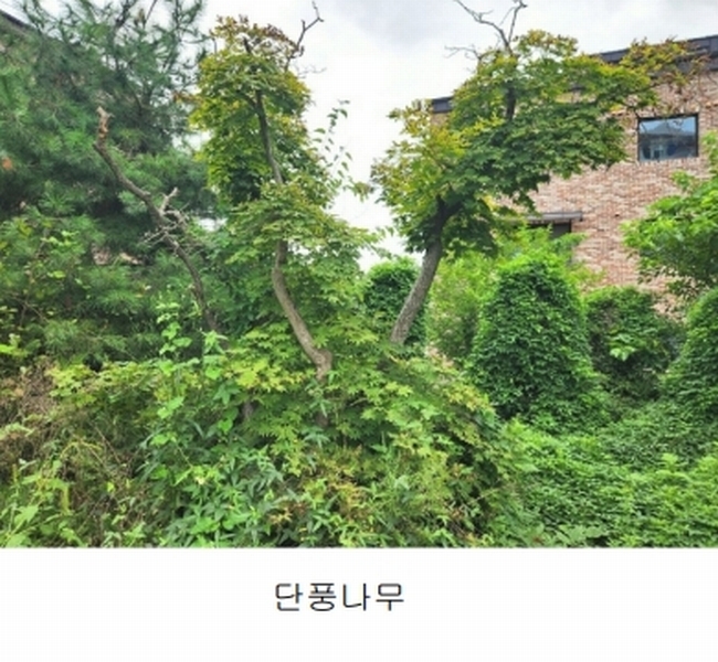 2024타경56622 경기도 광주시 회덕동 156-3 과수원 경매 이미지