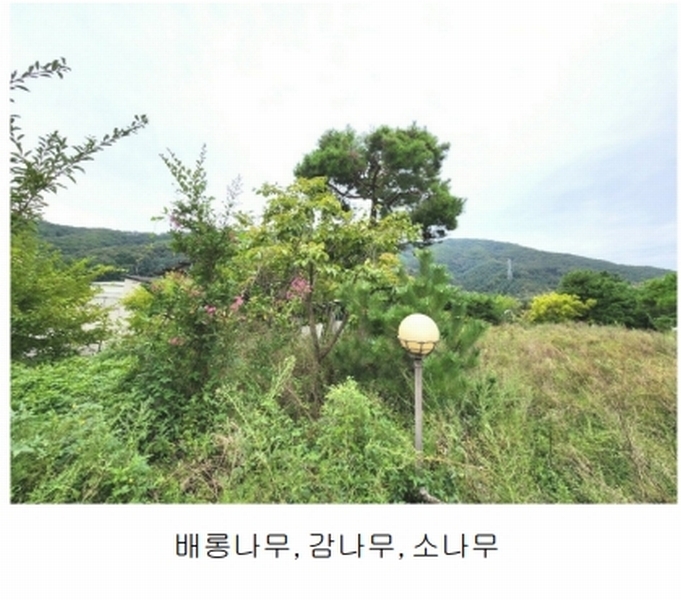 2024타경56622 경기도 광주시 회덕동 156-3 과수원 경매 이미지