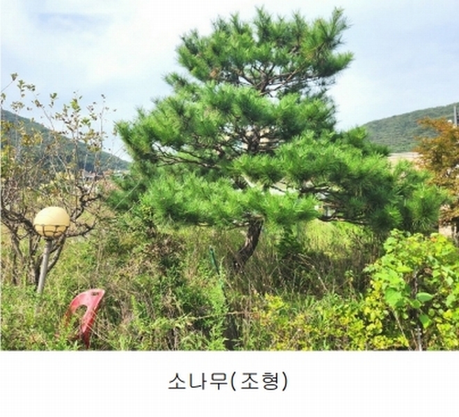 2024타경56622 경기도 광주시 회덕동 156-3 과수원 경매 이미지