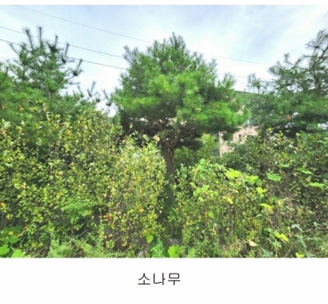 2024타경56622 경기도 광주시 회덕동 156-3 과수원 경매 이미지
