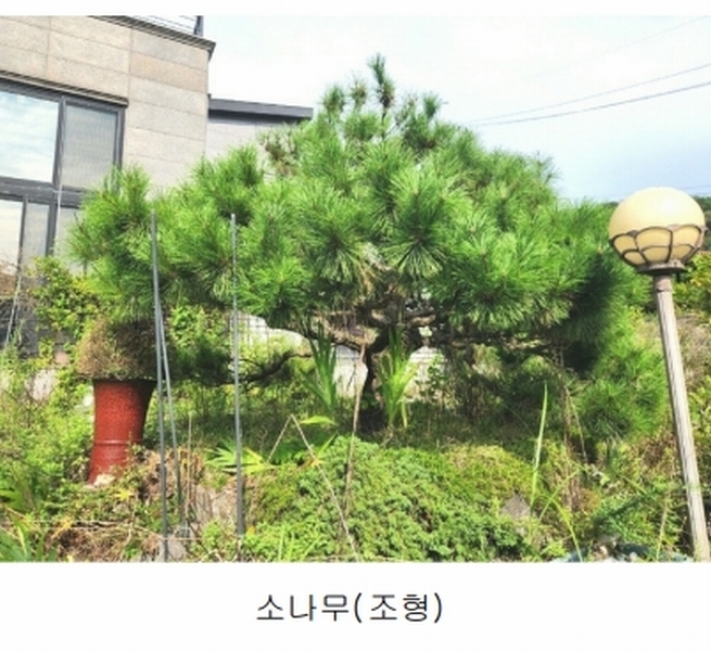 2024타경56622 경기도 광주시 회덕동 156-3 과수원 경매 이미지