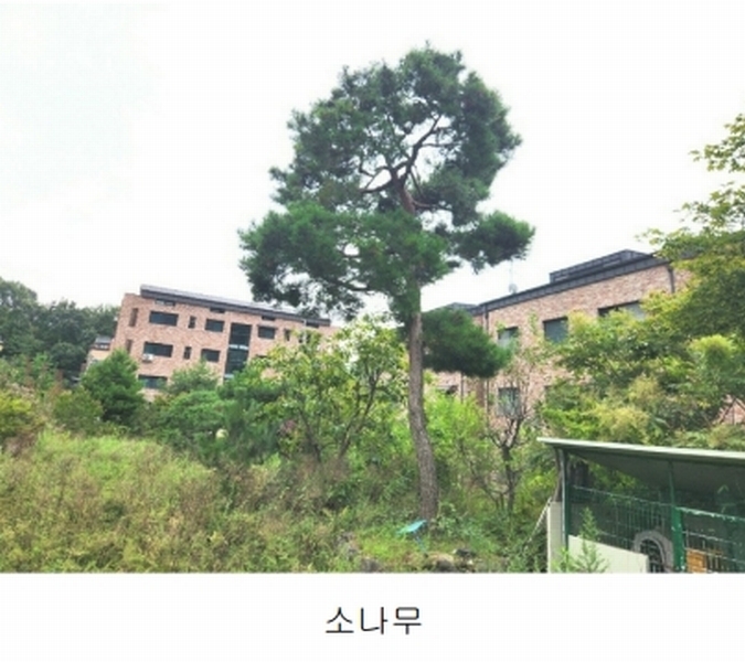 2024타경56622 경기도 광주시 회덕동 156-3 과수원 경매 이미지