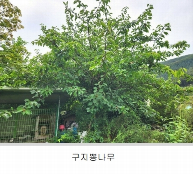 2024타경56622 경기도 광주시 회덕동 156-3 과수원 경매 이미지