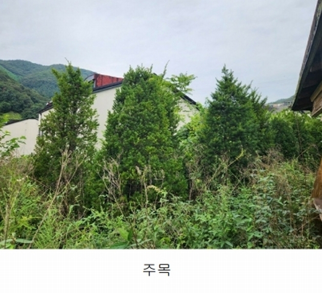 2024타경56622 경기도 광주시 회덕동 156-3 과수원 경매 이미지