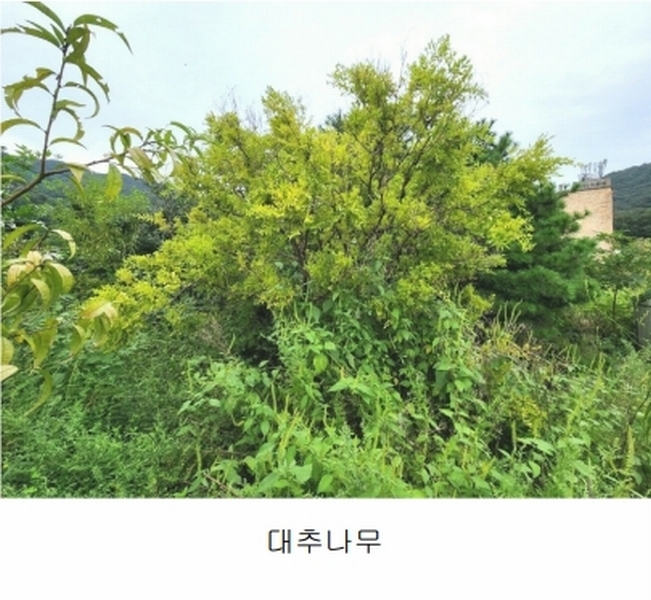 2024타경56622 경기도 광주시 회덕동 156-3 과수원 경매 이미지