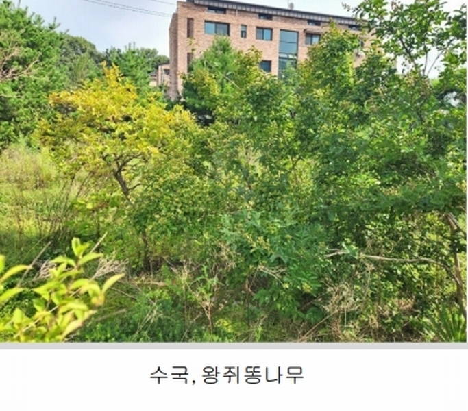 2024타경56622 경기도 광주시 회덕동 156-3 과수원 경매 이미지