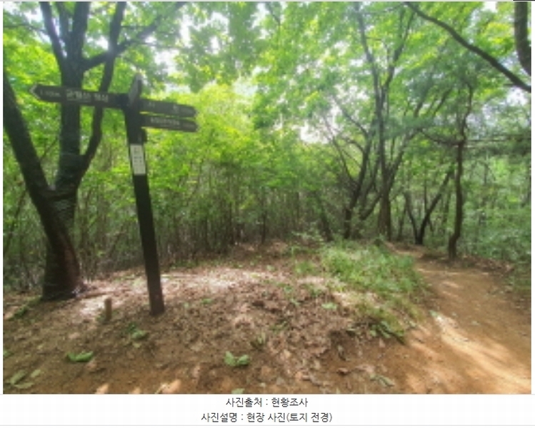 2024타경62696 경기도 광주시 송정동 산63-110 임야 경매 이미지
