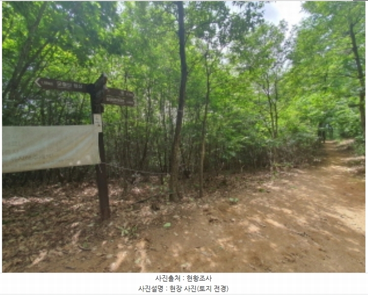2024타경62696 경기도 광주시 송정동 산63-110 임야 경매 이미지