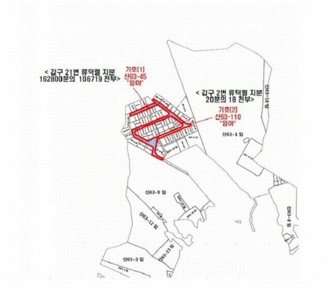 2024타경62696 경기도 광주시 송정동 산63-110 임야 경매 이미지