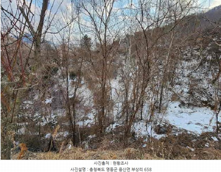 2025타경46 충청북도 영동군 용산면 부상리 626 농지 경매 이미지
