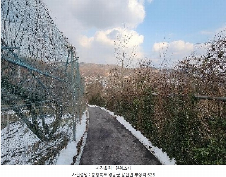 2025타경46 충청북도 영동군 용산면 부상리 626 농지 경매 이미지