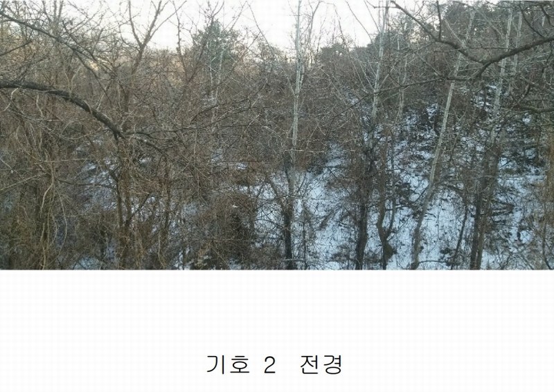 2025타경46 충청북도 영동군 용산면 부상리 626 농지 경매 이미지