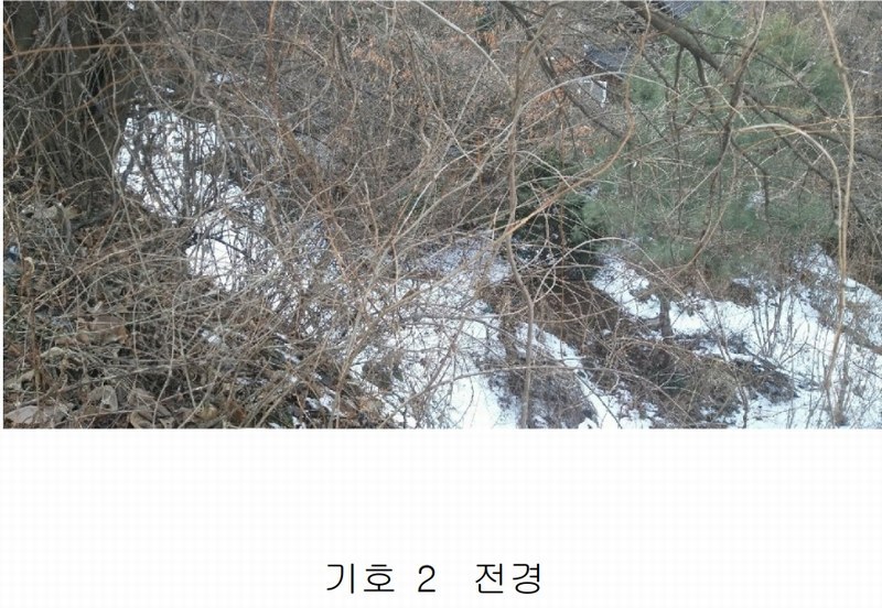 2025타경46 충청북도 영동군 용산면 부상리 626 농지 경매 이미지