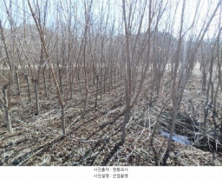 2025타경169 강원특별자치도 원주시 지정면 간현리 1232 농지 경매 이미지