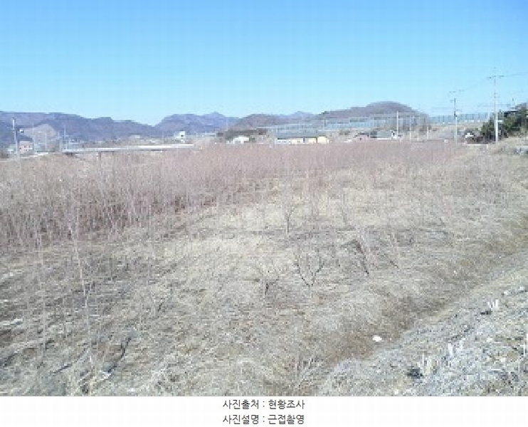 2025타경169 강원특별자치도 원주시 지정면 간현리 1232 농지 경매 이미지