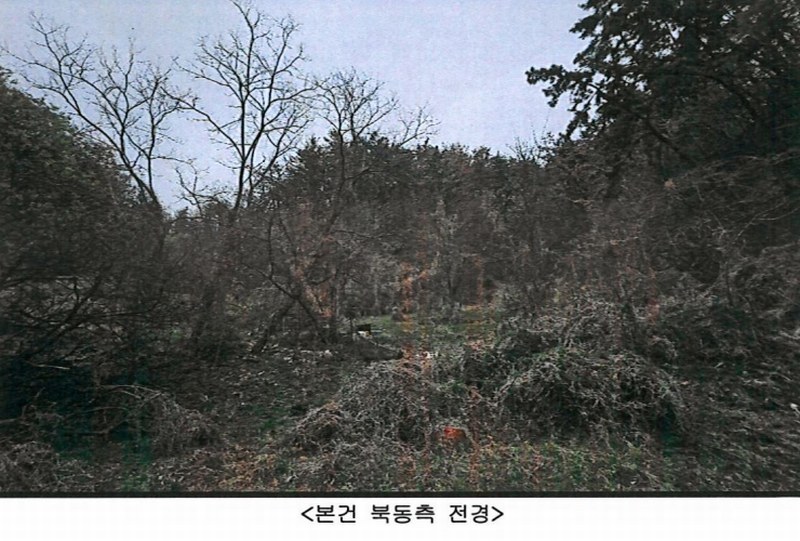 2025타경251 경상북도 포항시 남구 구룡포읍 병포리 산148 임야 경매 이미지