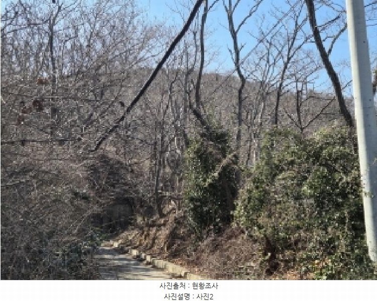 2025타경251 경상북도 포항시 남구 구룡포읍 병포리 산148 임야 경매 이미지