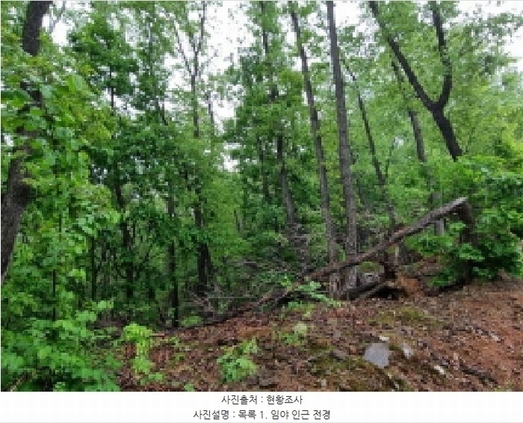 2025타경1643 경기도 광주시 초월읍 무갑리 산129-9 임야 경매 이미지