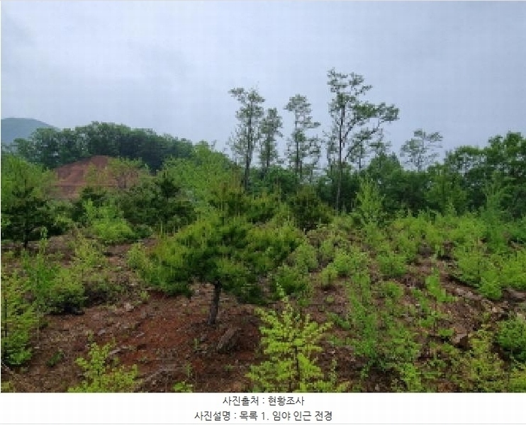 2025타경1643 경기도 광주시 초월읍 무갑리 산129-9 임야 경매 이미지