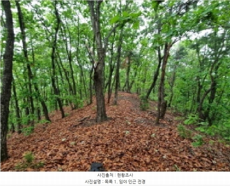 2025타경1643 경기도 광주시 초월읍 무갑리 산129-9 임야 경매 이미지