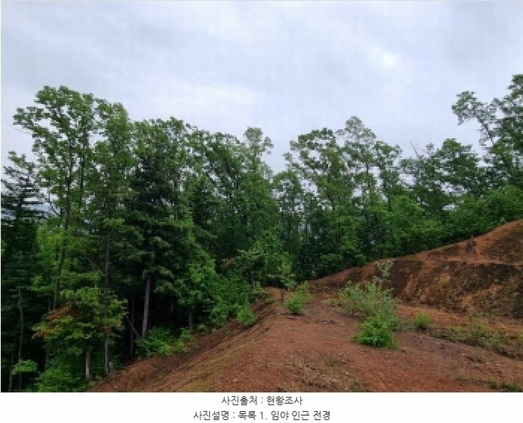 2025타경1643 경기도 광주시 초월읍 무갑리 산129-9 임야 경매 이미지