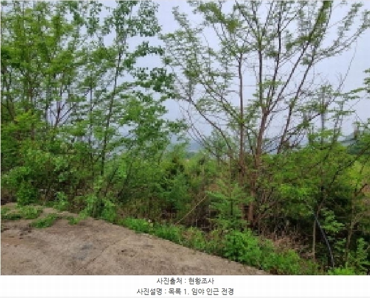 2025타경1643 경기도 광주시 초월읍 무갑리 산129-9 임야 경매 이미지